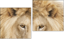 Diptych
