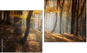 Diptych