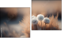 Diptych