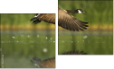 Diptych