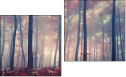 Diptych