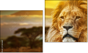 Diptych