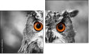 Diptych