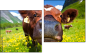 Diptych