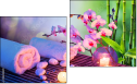 Diptych