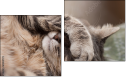 Diptych