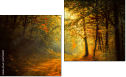 Diptych