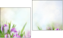 Diptych