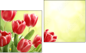 Diptych
