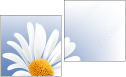 Diptych