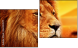 Diptych