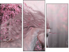 Triptych