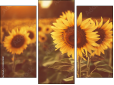 Triptych
