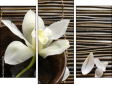 Triptych