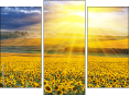 Triptych