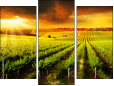 Triptych