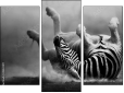 Triptych