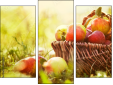 Triptych