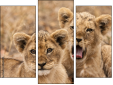Triptych