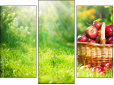 Triptych