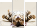 Triptych