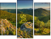 Triptych
