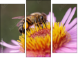 Triptych