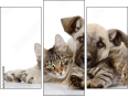 Triptych