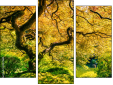 Triptych