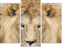 Triptych