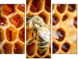 Triptych