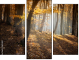Triptych