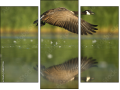 Triptych