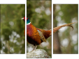 Triptych