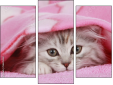 Triptych