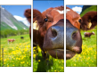 Triptych