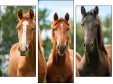 Triptych