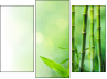 Triptych