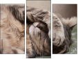 Triptych