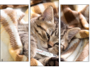 Triptych