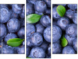 Triptych