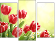 Triptych