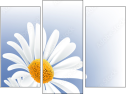 Triptych