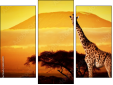 Triptych