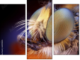 Triptych