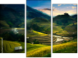 Triptych