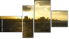 Fortych