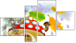 Fortych