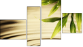 Fortych
