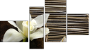 Fortych